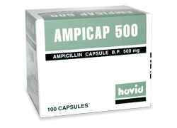 Amoxicillin 500mg price cvs