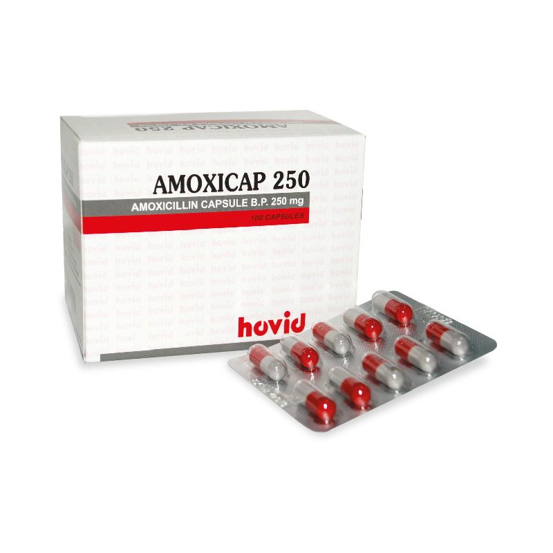 Hovid Amoxicap 250mg Capsule